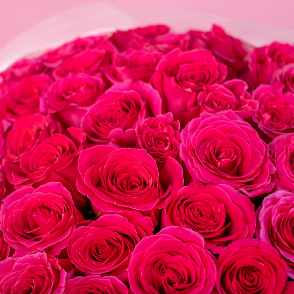 Купить Букет из 65 роз в  с бесплатной доставкой: цена, фото, описание